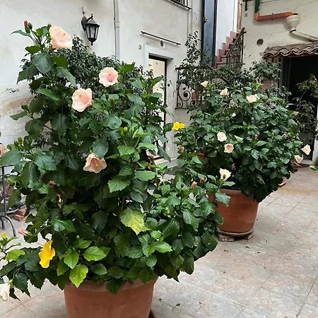 Bellini Space 3 Catania